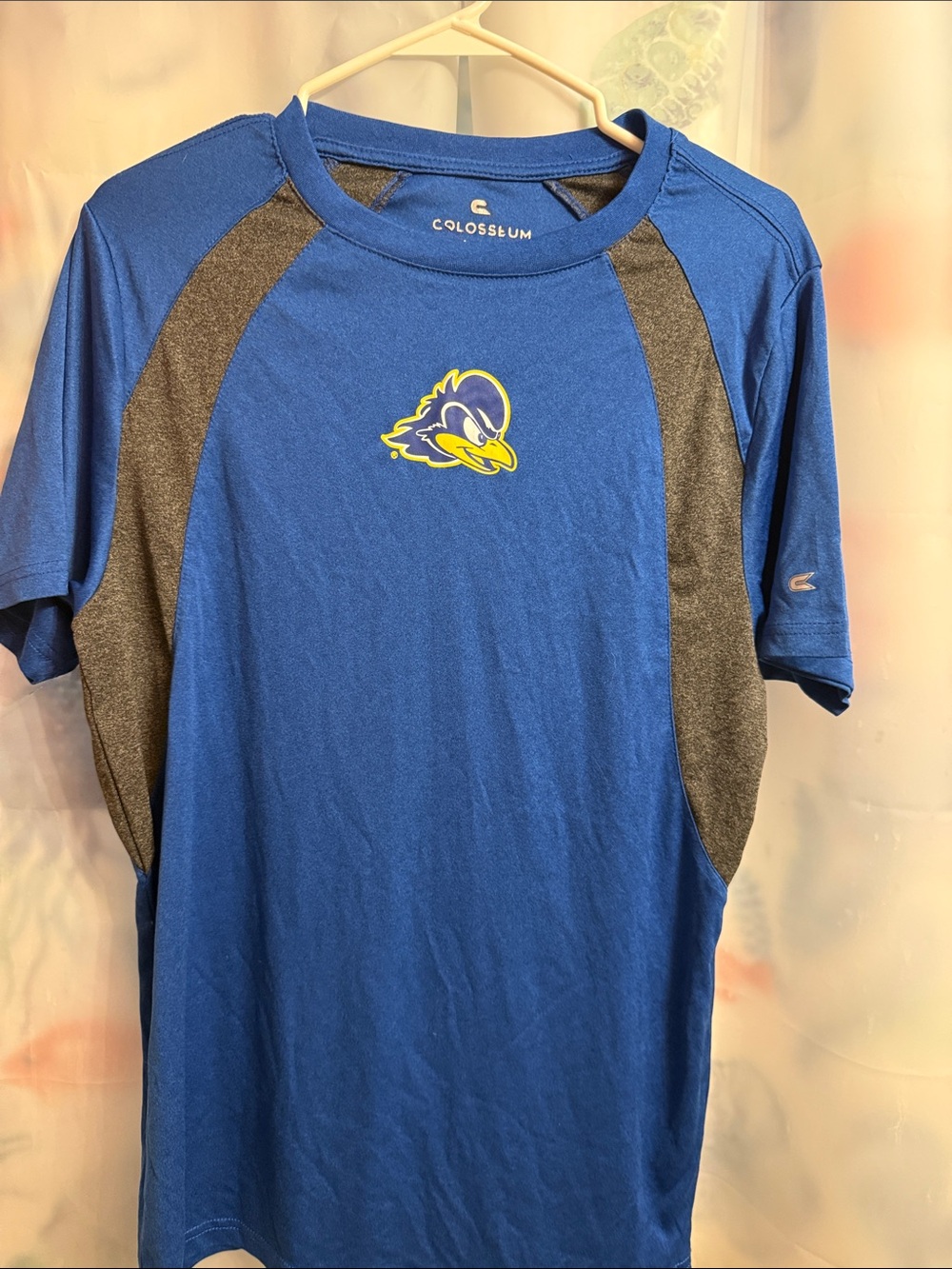Delaware Blue, hensMen's Royal Blue Short-Sleeve Athletic Crewneck with Gray Pan
